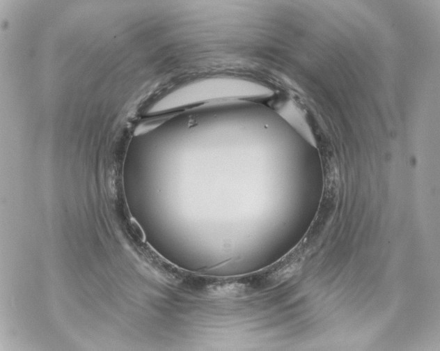 X0000070400452200607072248