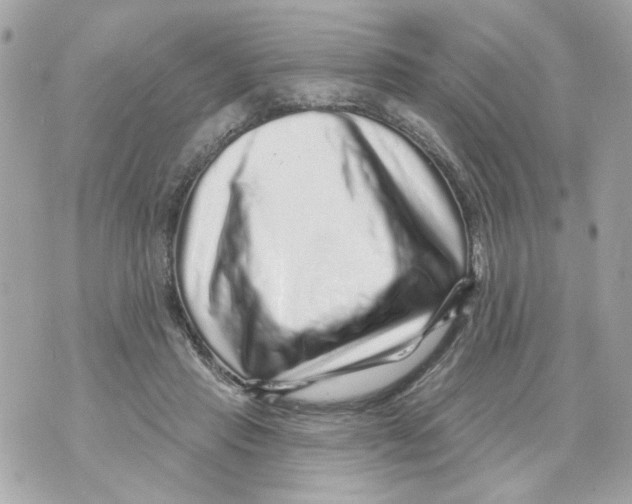 X0000070400453200607072248