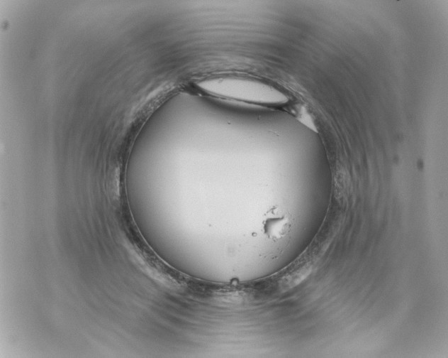 X0000070400454200607072248