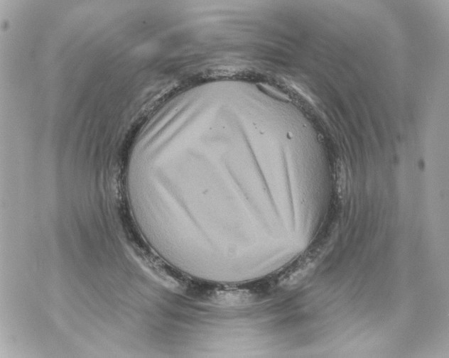 X0000070400455200607072248