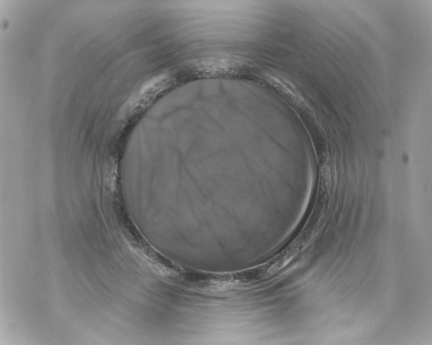 X0000070400458200607072248