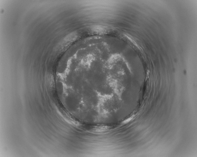 X0000070400459200607072248