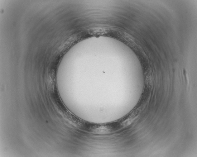 X0000070400460200607072248