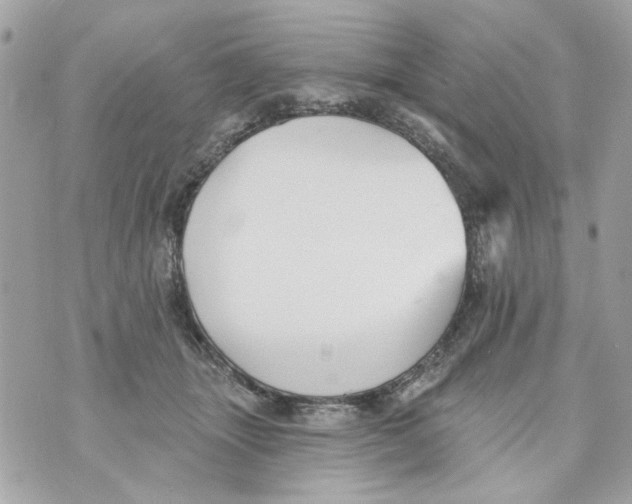 X0000070400463200607072248