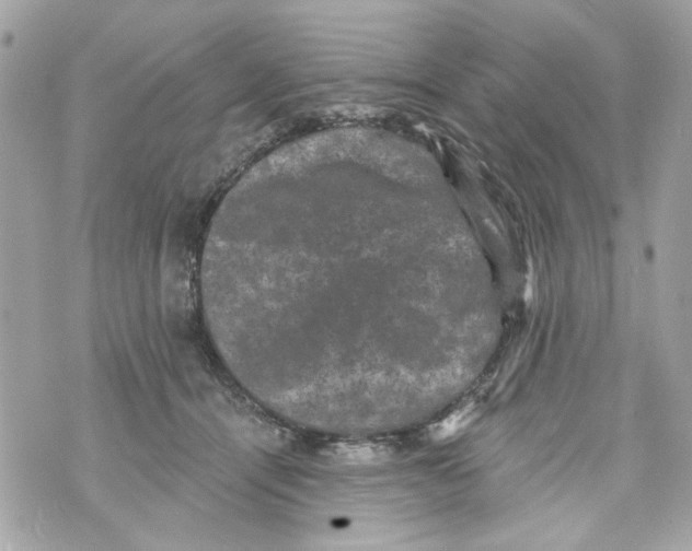 X0000070400464200607072248