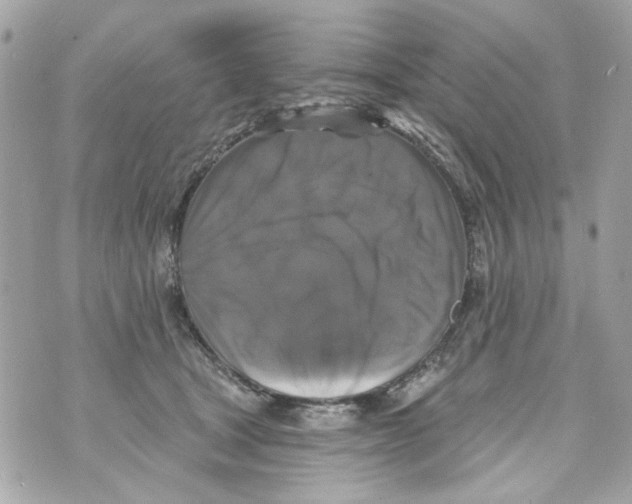 X0000070400465200607072248