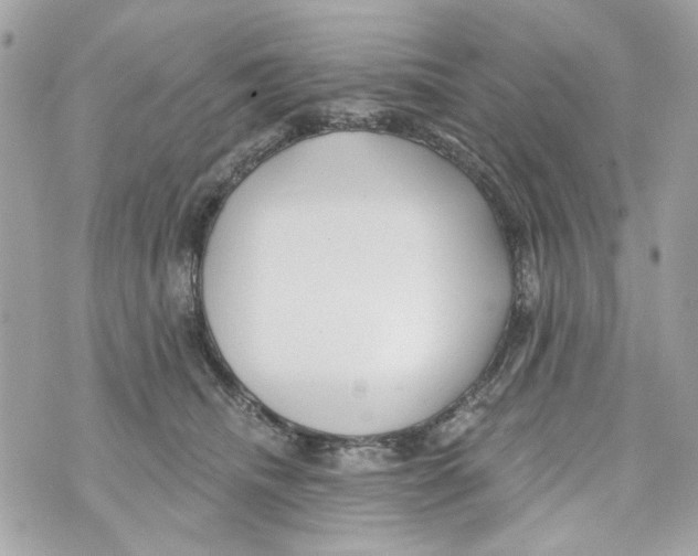 X0000070400468200607072248