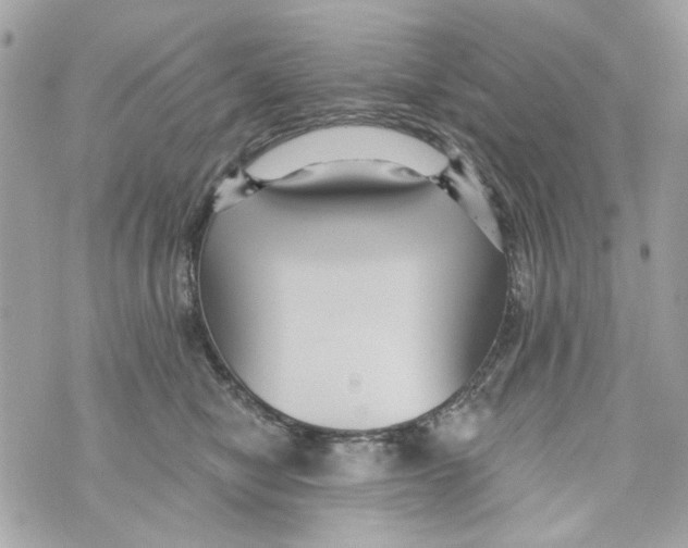 X0000070400470200607072248