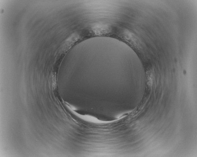 X0000070400471200607072248