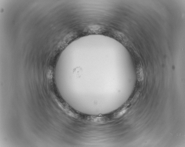 X0000070400472200607072248