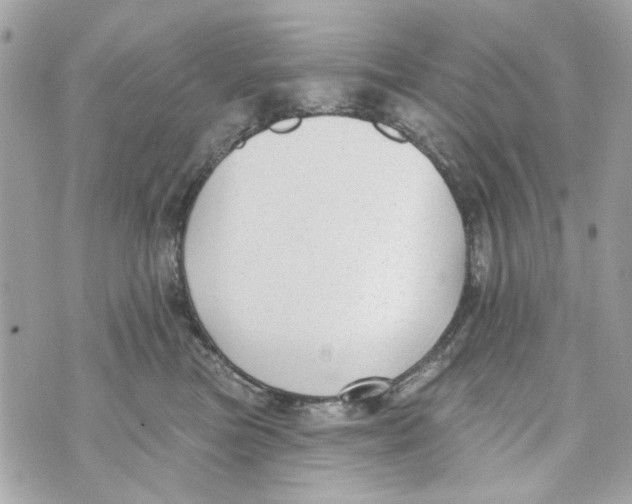 X0000070400473200607072248