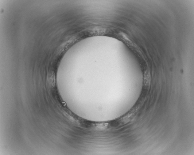 X0000070400474200607072249