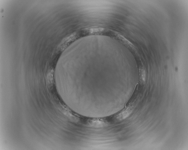 X0000070400475200607072249