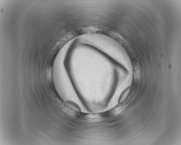 X0000070400477200607072249