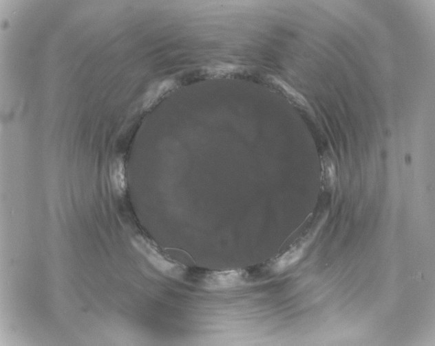 X0000070400479200607072249