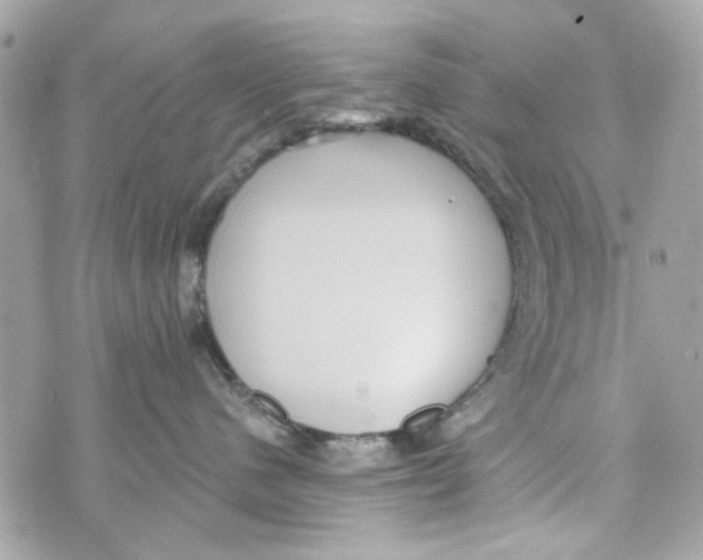 X0000070400480200607072249