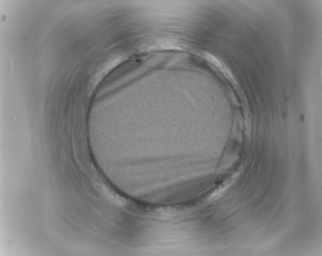 X0000070400481200607072248