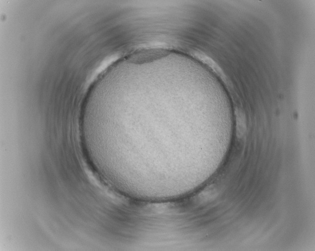 X0000070400482200607072248