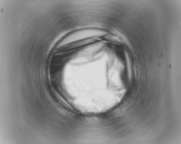 X0000070400483200607072248