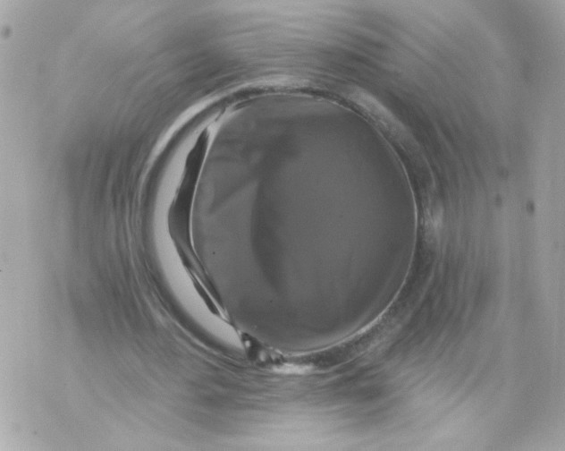 X0000070400484200607072248