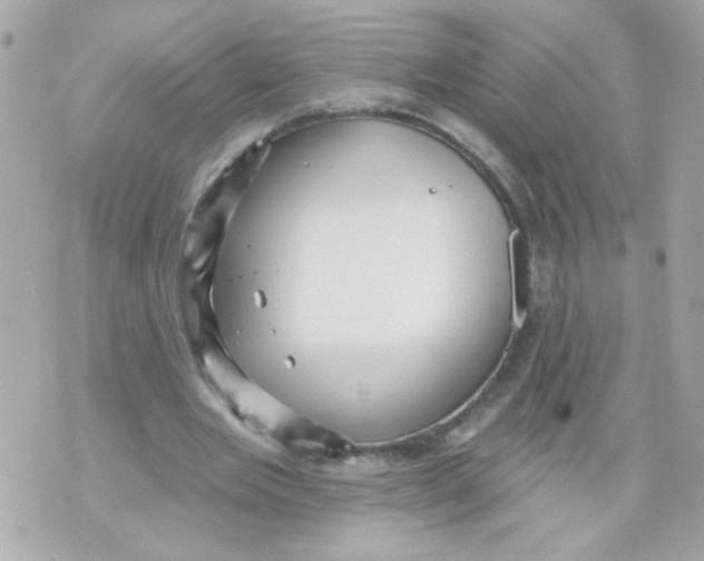 X0000070400485200607072248