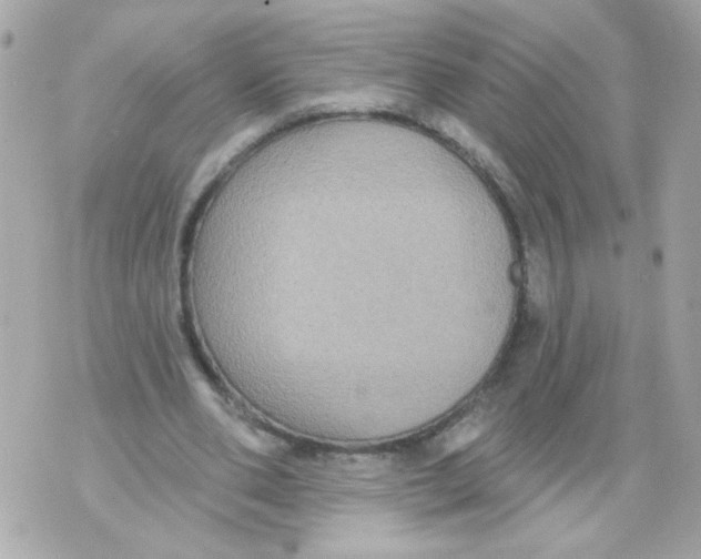 X0000070400486200607072248