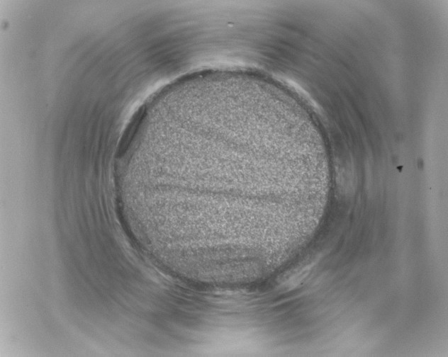 X0000070400487200607072248