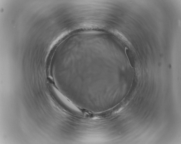 X0000070400488200607072248