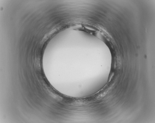 X0000070400489200607072248