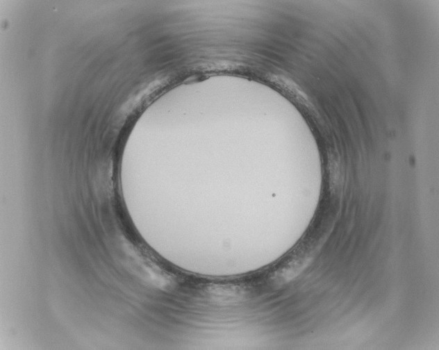 X0000070400490200607072248