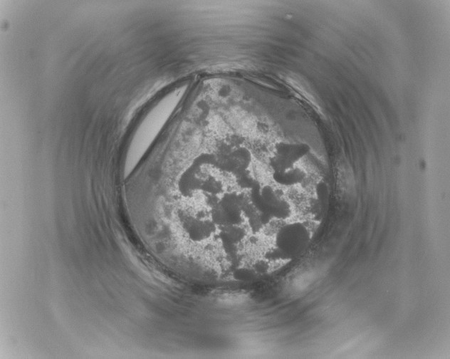 X0000070400491200607072248