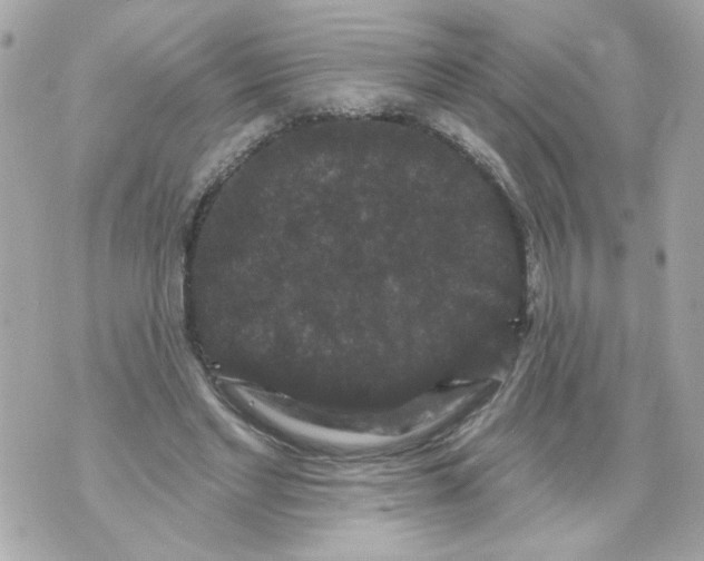 X0000070400493200607072248