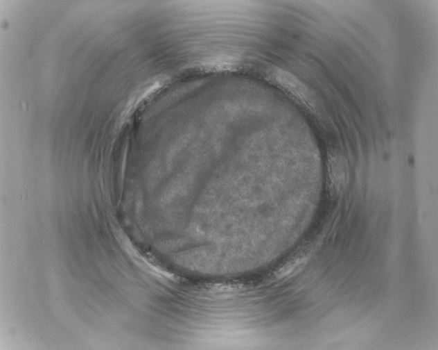 X0000070400494200607072248