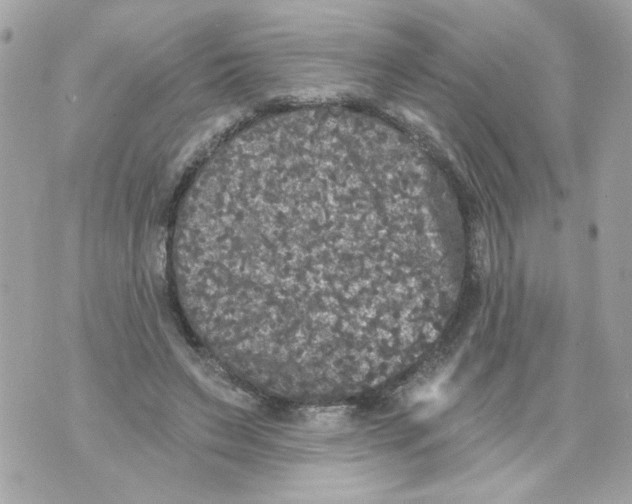 X0000070400495200607072248