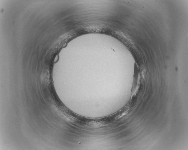 X0000070400498200607072248