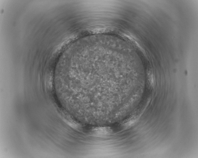 X0000070400499200607072248