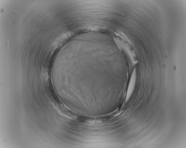 X0000070400500200607072248