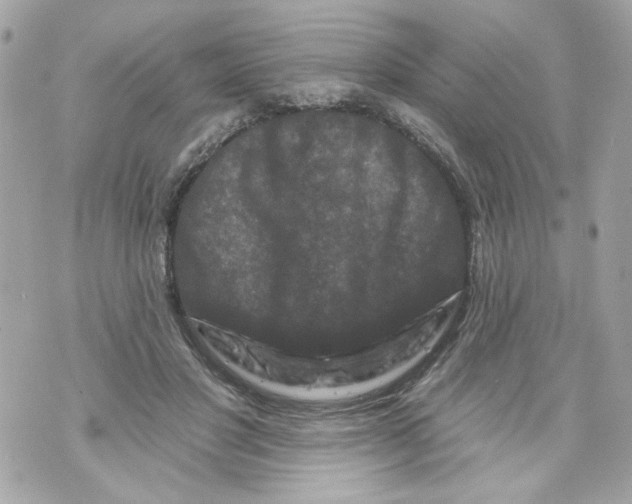 X0000070400501200607072247