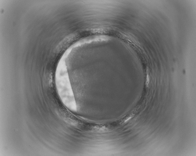 X0000070400502200607072247