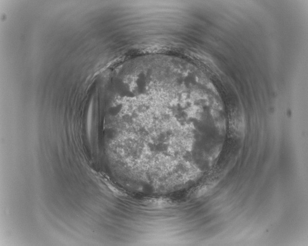 X0000070400503200607072247