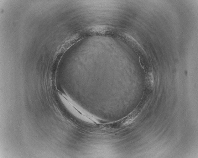 X0000070400504200607072247