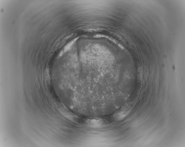 X0000070400506200607072247