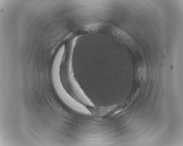 X0000070400508200607072247