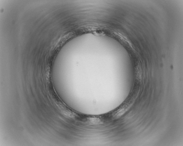 X0000070400509200607072247