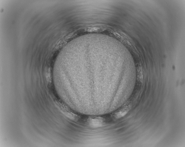 X0000070400510200607072247