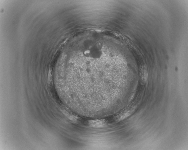 X0000070400511200607072247