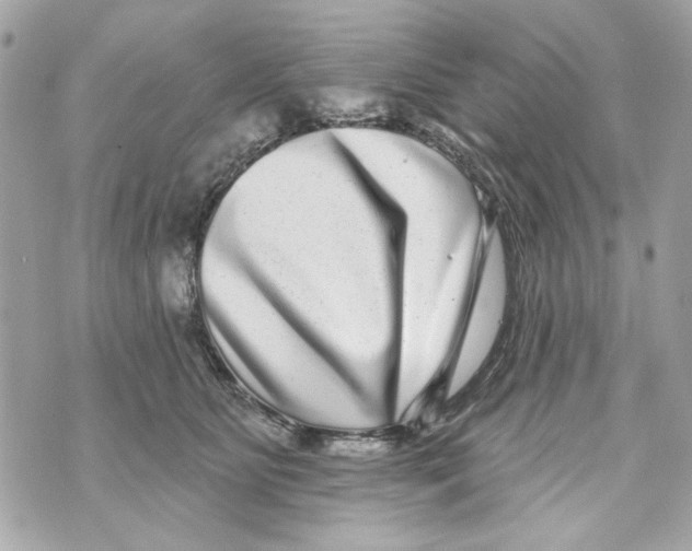 X0000070400515200607072247