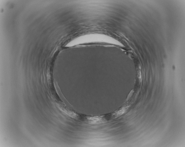 X0000070400516200607072247