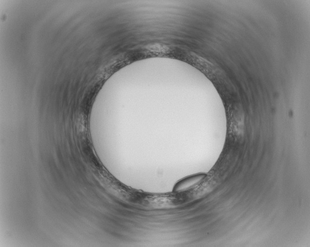 X0000070400518200607072247