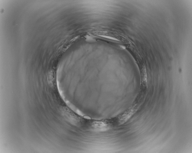 X0000070400519200607072247